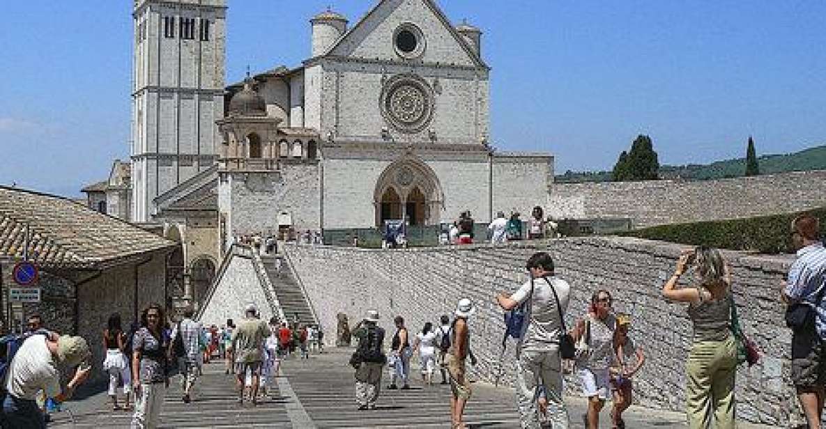 Assisi & Orvieto Day Trip from Rome - The countryside drive: olive groves, wine names, and real pacing