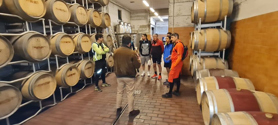 Frascati: Tour in E-Bike with Wine Tasting - The climb to Monte Tusculum and the archaeological park