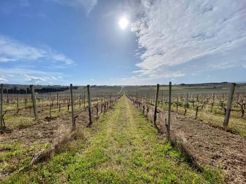 Frascati: Tour in E-Bike with Wine Tasting - Price and value: is $94 worth 3.5 hours of hills and wine?