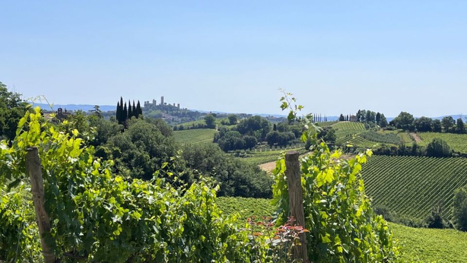 From Rome: Florence & Tuscany Day Tour by High-Speed Train - Family-run winery tasting and lunch: DOCG, Super-Tuscan, and paired bites