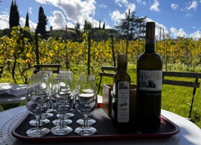From Rome: Half-Day Frascati Wine Tour with Farmhouse Lunch - Frascati on Foot With Your Host: Cathedrals, Old Streets, and Villa Hints