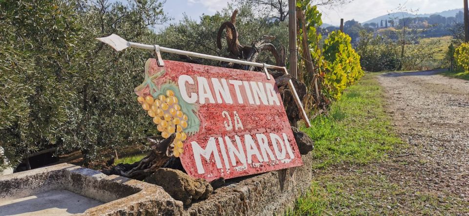 From Rome: Half-Day Frascati Wine Tour with Farmhouse Lunch - The Vineyard Farmhouse: Nine Generations, Old Cellar, and Working Lands