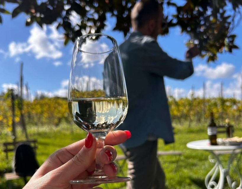 From Rome: Half-Day Frascati Wine Tour with Farmhouse Lunch - Price and Value: Why $99 Can Actually Make Sense