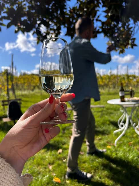From Rome: Pasta Masterclass & Wine Tour in the Vineyard - Lunch at the Farmhouse: The Pasta You Made, Plus Included Wine