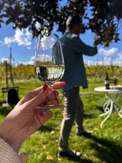 From Rome: Pasta Masterclass & Wine Tour in the Vineyard - Price and Value: Why $99 Works for Most People