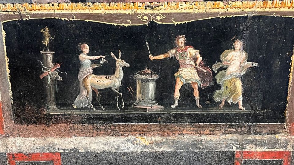 From Rome: Pompeii and Naples Day Trip by High-Speed Train - Who should book, and who should choose another option