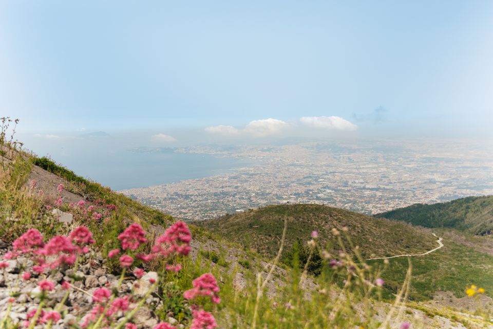 From Rome: Pompeii Day Trip with Optional Vesuvius and Lunch - Practical considerations: what to bring, what can change, and limits to know