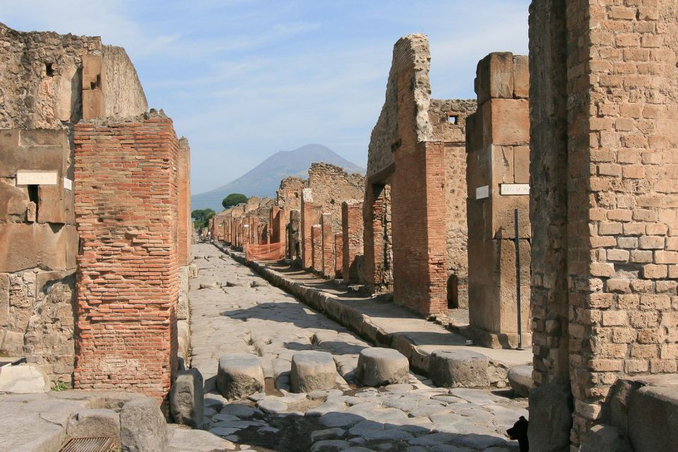From Rome: Pompeii & Naples Small-Group Day Tour with Lunch - Pompeii with a 2-hour professional guide: how to see the right stuff fast