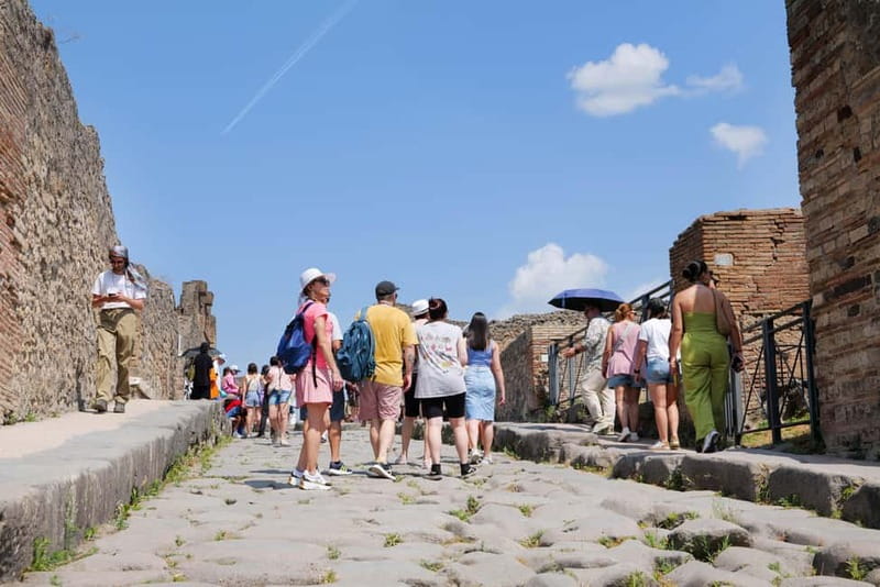 From Rome: Pompeii Ruins Tour with Expert Guide & Fast Train - Naples Meeting Point: Look for inStazione and Get Moved Along