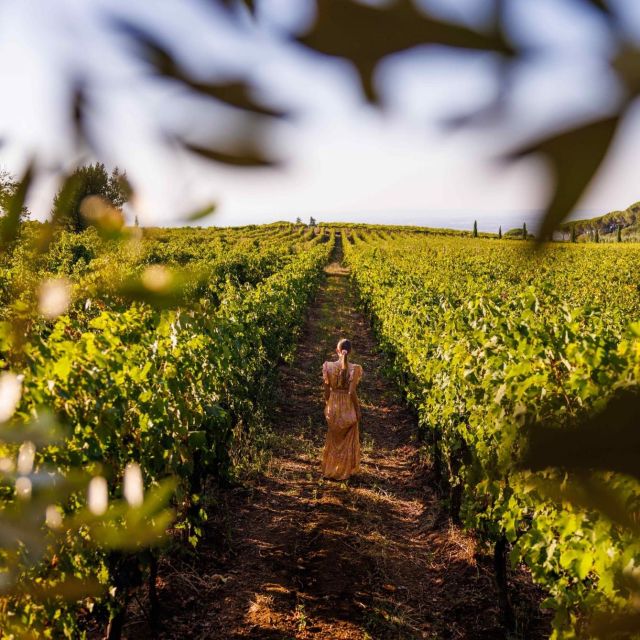 From Rome: Private Day-Tour of Tuscany - Turning Rome into Val d’Orcia: the drive that sets the tone