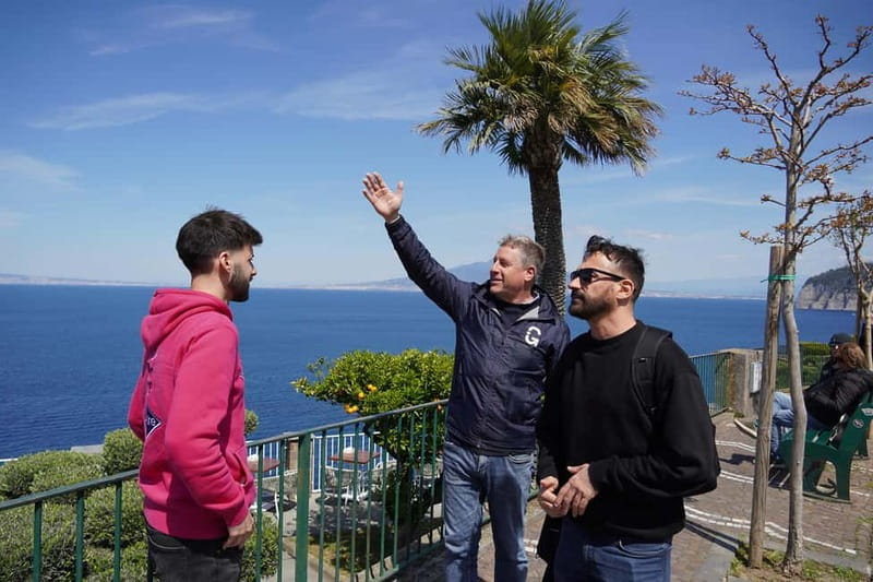 From Rome: Sorrento & Pompeii Day Trip with Guide or Ticket - Pompeii skip-the-line: ticket-only freedom or an archaeologist guide