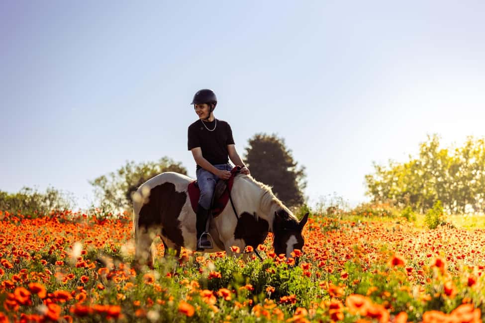 Horse Sanctuary in Rome - Quick take: what you’ll remember