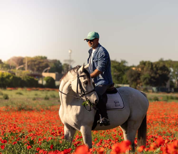 Horse Sanctuary in Rome - A Pinewood Ride Beyond Rome: Ancient Ostia ruins on horseback