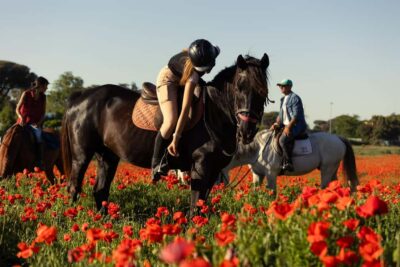 Horse Sanctuary in Rome - Your First Lesson: grooming, feeding, and getting on safely