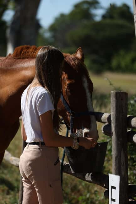 Horse Sanctuary in Rome - How 3 hours works: the rhythm from ranch to return shuttle