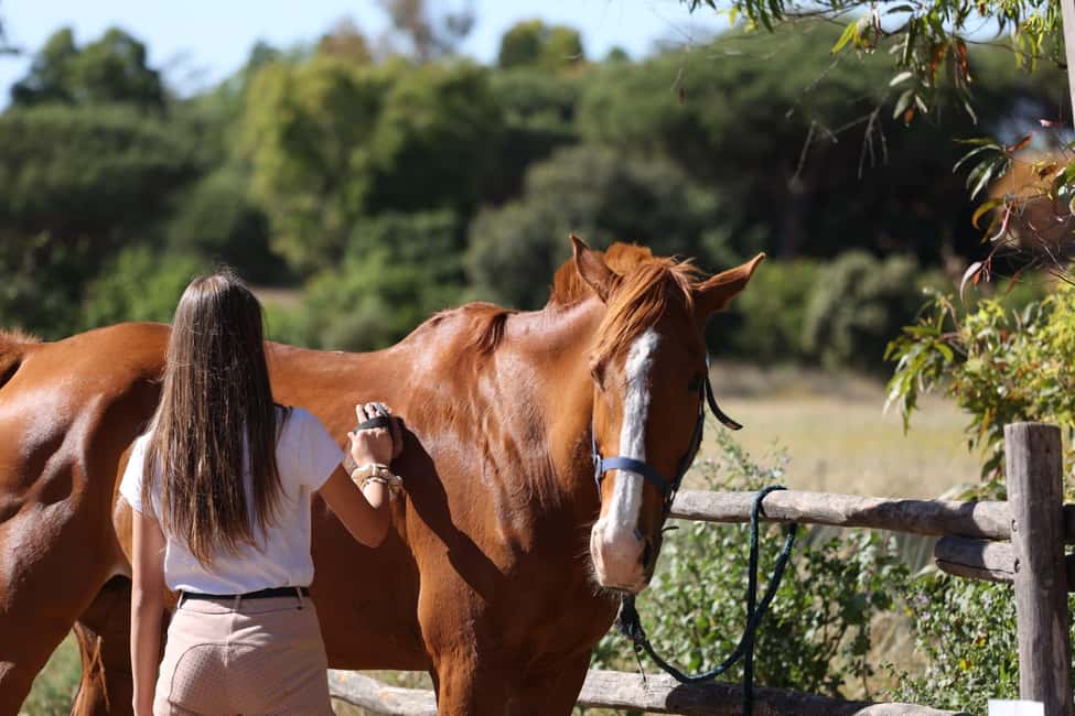 Horse Sanctuary in Rome - Price and what’s included: $106 for a real “horse day”