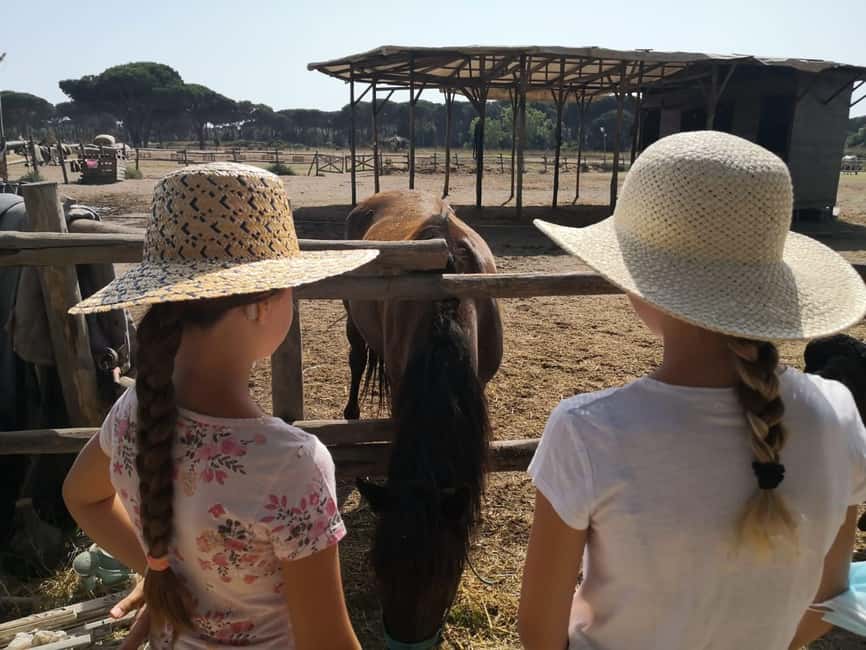 Horse Sanctuary in Rome - Practical tips for a smoother ride day