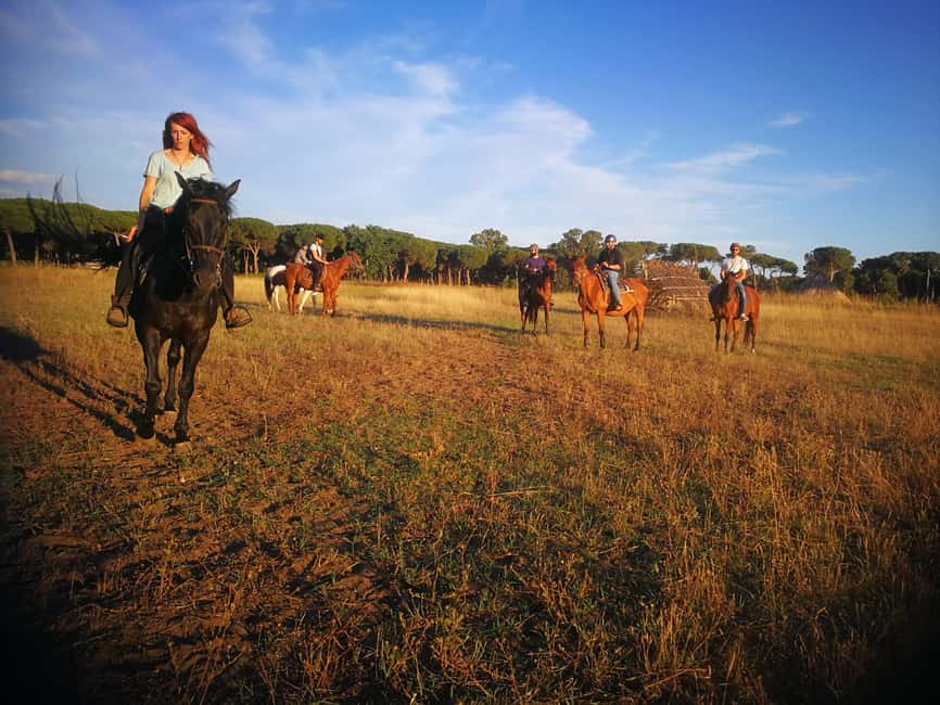 Horse Sanctuary in Rome - Should you book the Horse Sanctuary ride near Ancient Ostia?