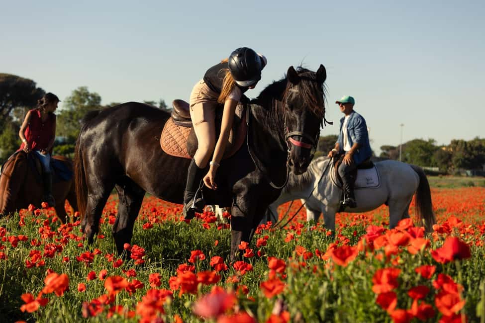 Horse Sanctuary in Rome - Your First Lesson: grooming, feeding, and getting on safely