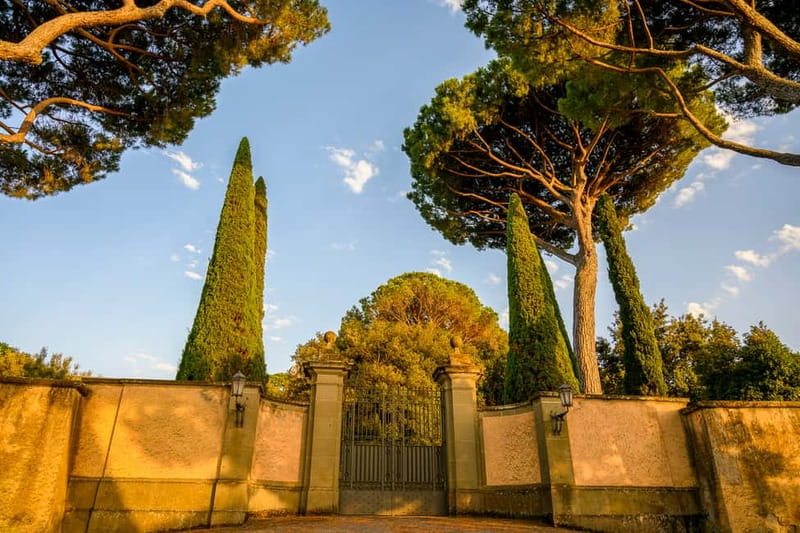 Papal Palace and Secret Garden Ticket and Audio Guide - Timing, meeting point, and how to plan a smooth 2 hours