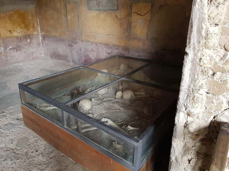 Pompeii: Entry Ticket w/ Guide and Transfers or Audio Guide - From Rome to Pompeii Without the Headaches: Transfers and Scheduling