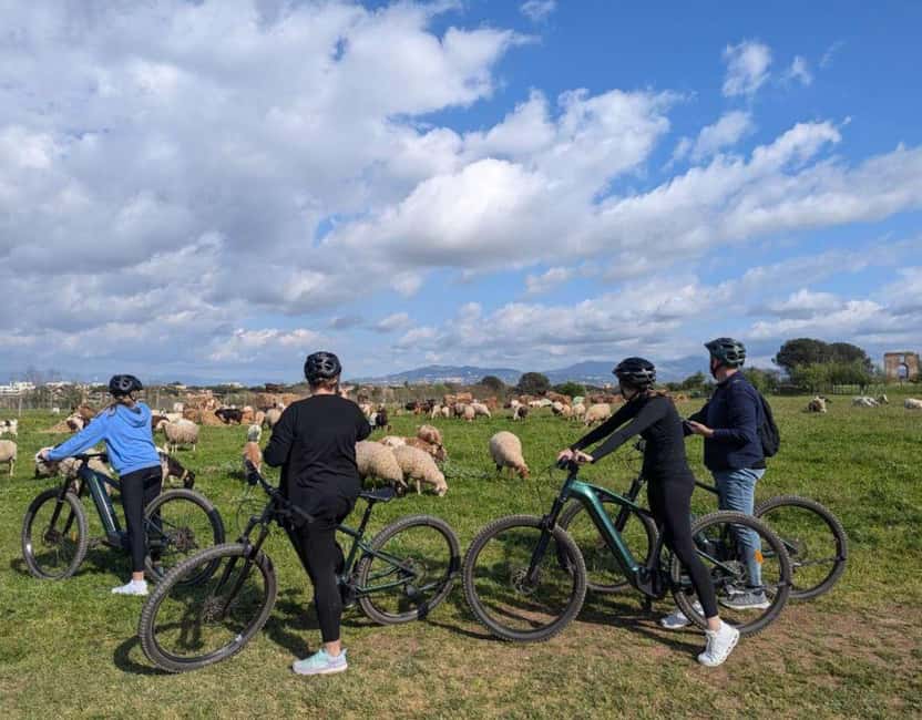 Rome: Appian Way, Aqueducts, & Catacombs E-Bike Guided Tour - Parco degli Acquedotti: cycling beside the aqueduct arches