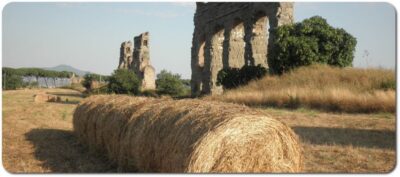 Rome: Appian Way E-Bike Tour Catacombs, Aqueducts & Picnic - Starting near Circus Maximus: where you meet and how to get ready