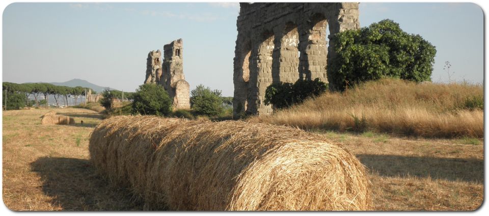 Rome: Appian Way E-Bike Tour Catacombs, Aqueducts & Picnic - Starting near Circus Maximus: where you meet and how to get ready