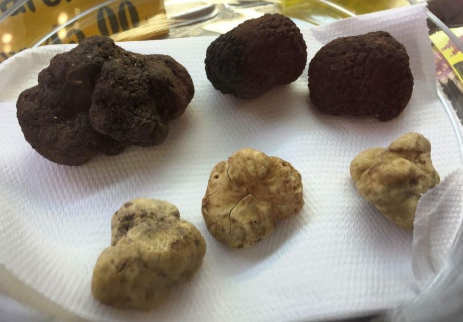 Rome: Award-Winning Roman Food Tours - Guides make or break it: the real local energy