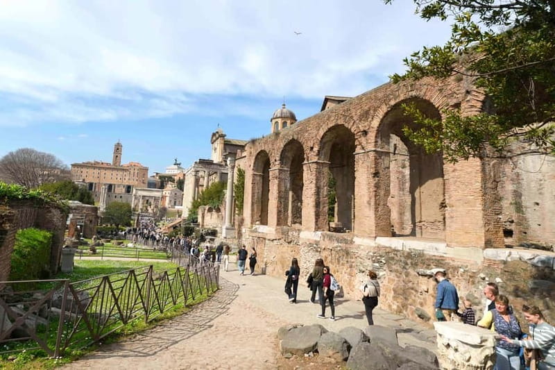 Rome: Colosseum & Forum with Audio Guide - Optional Arena - Roman Forum: political drama and daily life in the ruins