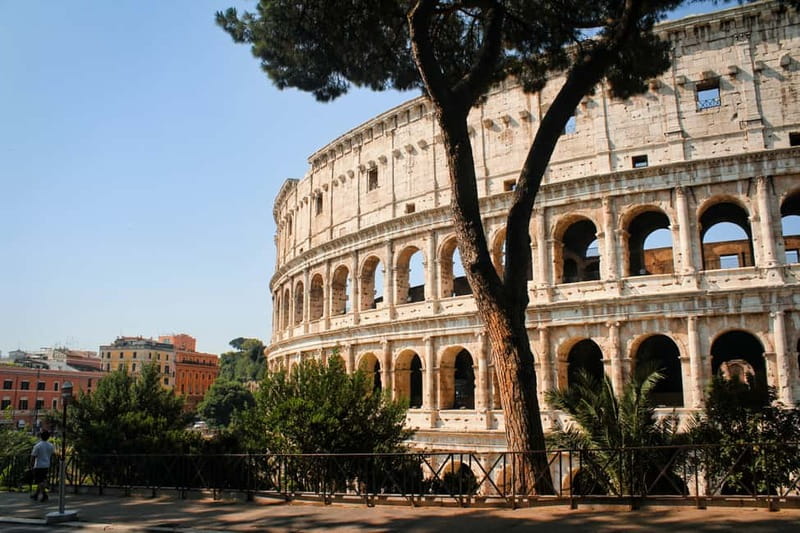 Rome: Colosseum, Palatine Hill and Roman Forum Guided Tour - Meeting at Santi Cosma e Damiano and Staying Together