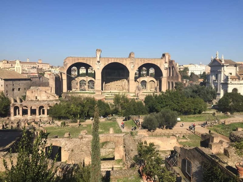 Rome: Colosseum, Palatine Hill and Roman Forum Guided Tour - Language Options and Guide Quality (What Names Reveal)