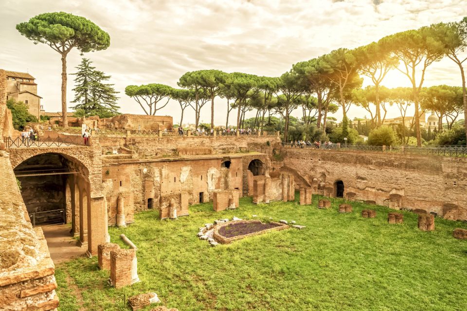 Rome: Colosseum Underground, Arena & Forum Tour - Inside the Arena: Seeing the Stage From the Right Angle