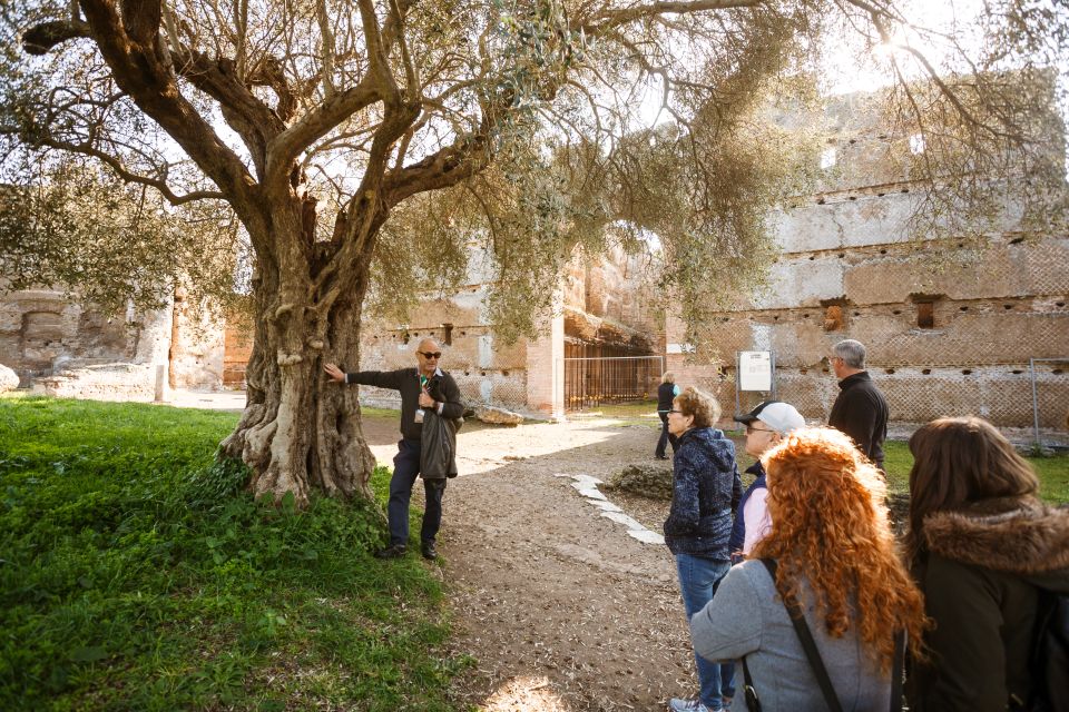 Rome: Hadrian's Villa and Villa d'Este Half-Day Tour - Why This Rome-to-Tivoli Combo Works So Well