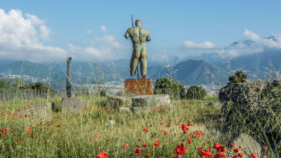 Rome: Pompeii Tour with Wine and Lunch by High Speed Train - Key points worth clocking before you go
