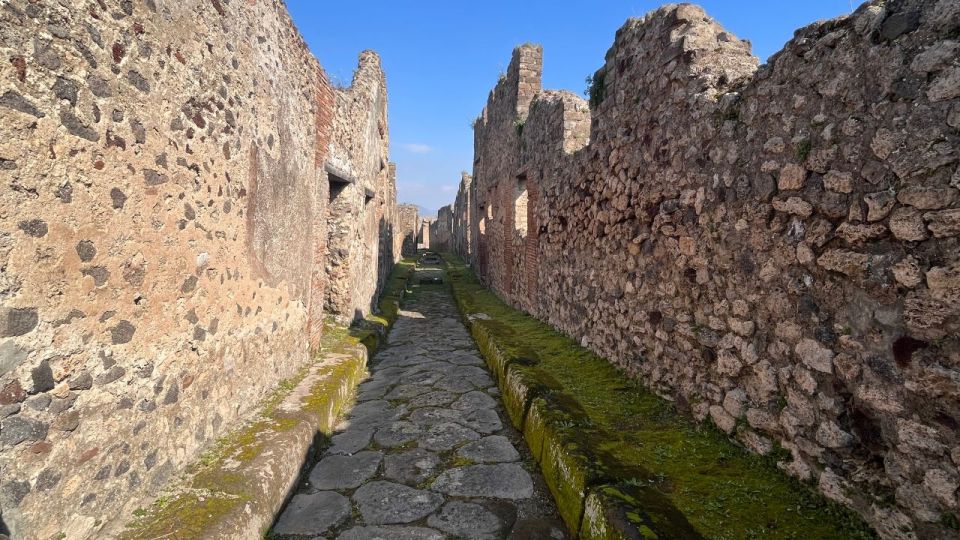 Rome: Pompeii Tour with Wine and Lunch by High Speed Train - Who should book this Pompeii tour from Rome