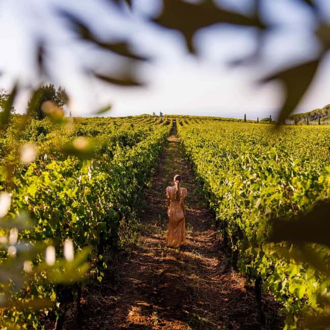 Rome: Private Castelli Romani Wine Tasting Tour - The three-wine tasting: Frascati DOCG, red IGP, and sweet Cannellino