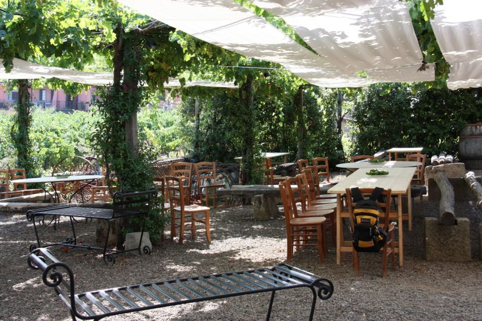 Rome: Private Castelli Romani Wine Tasting Tour - Who this Castelli Romani private wine tour is best for