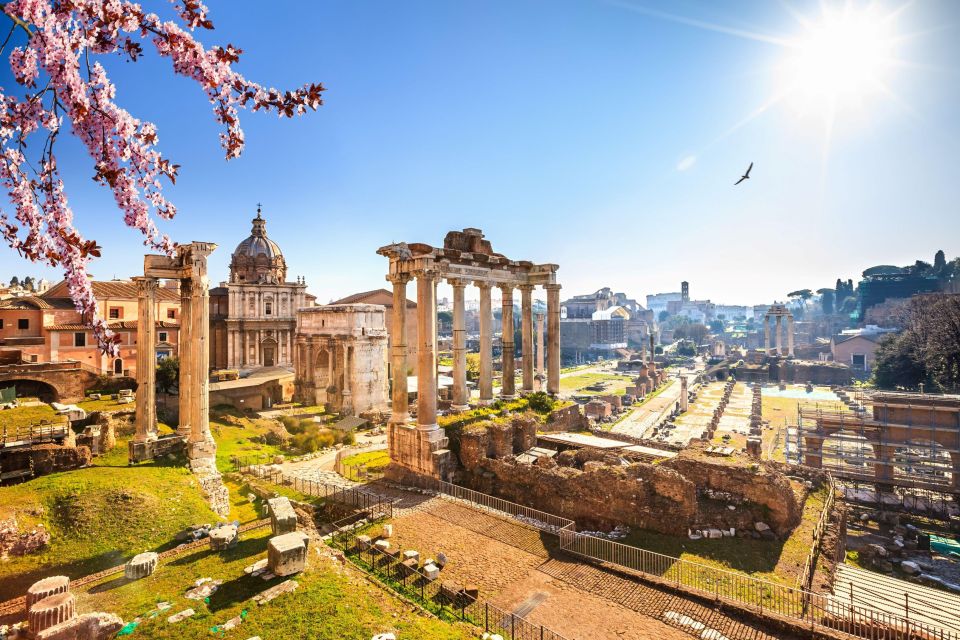 Rome: Roman Forum and Palatine Hill Licensed Guided Tour - Who should book this Roman Forum and Palatine Hill tour